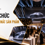 Tổ chức lễ ra mắt