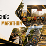 Tổ chức giải Marathon