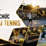 Tổ chức giải Tennis