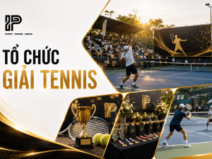 Tổ chức giải Tennis